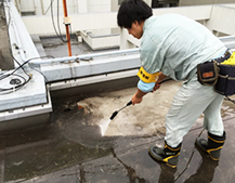 屋上及び排水経路の洗浄